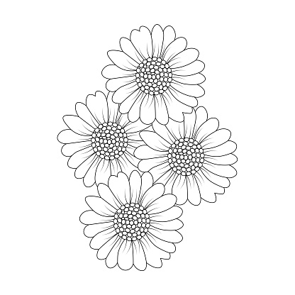 chamomile and daisy flower coloring page design with detailed line art vector graphic. beautiful flowers coloring page with decorative floral background design. blossom petal and leaves sketch of easy pencil drawing. blossom flower simplicity sketchy with artistic illustration on isolate background.