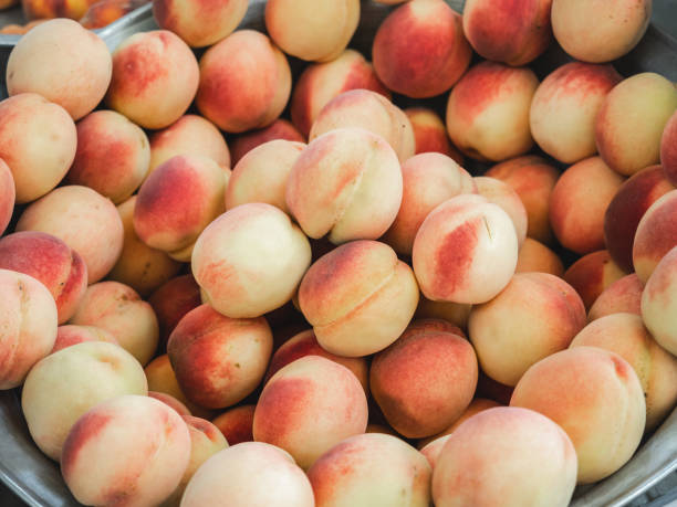 frutta fresca e matura che giace sul mercato - nectarine peach red market foto e immagini stock