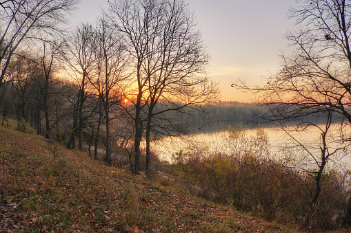 Осенний рассвет у реки, листья, осень, река, деревья