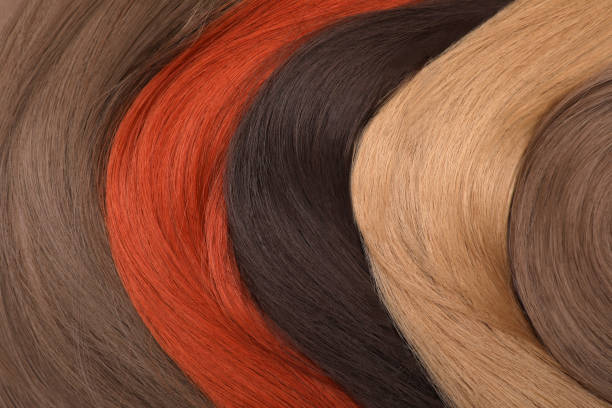 istock Strands of different hair as background, top view 1453972619