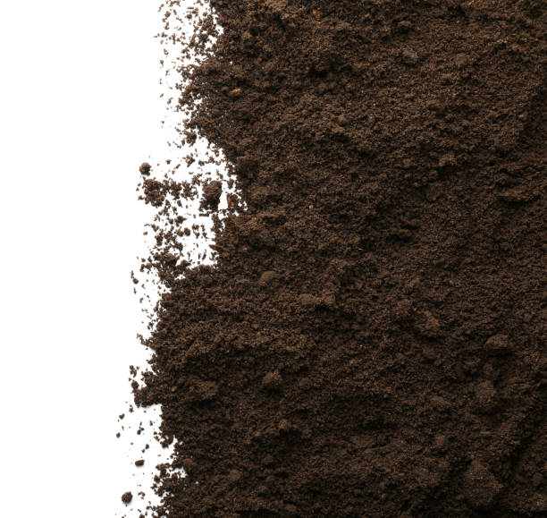istock Pile of soil on white background, top view 1453974335
