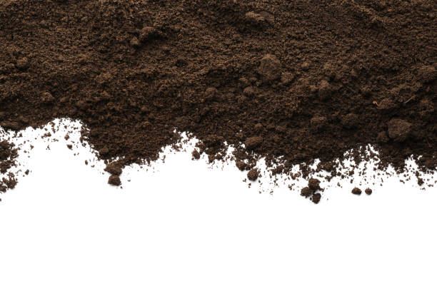 istock Pile of soil on white background, top view 1453974444
