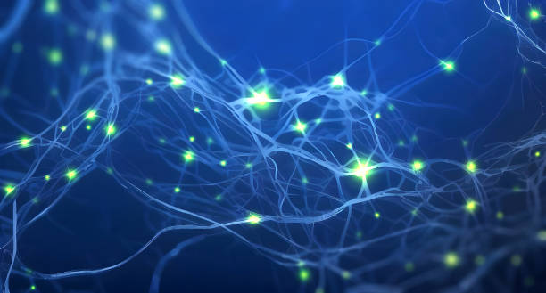 istock Pulsing signals between nerve cells inside a neuronal network - illustration 1453977117