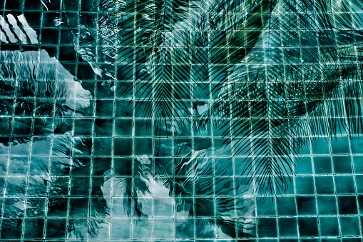 Abstract coconut tree reflect on swimming pool background, tropical background