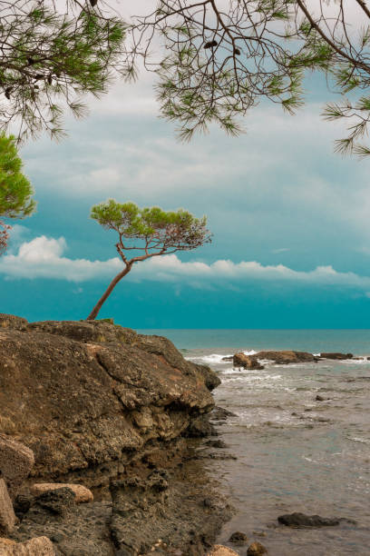Beautiful costline at the ancient Phaselis city, Turkey.