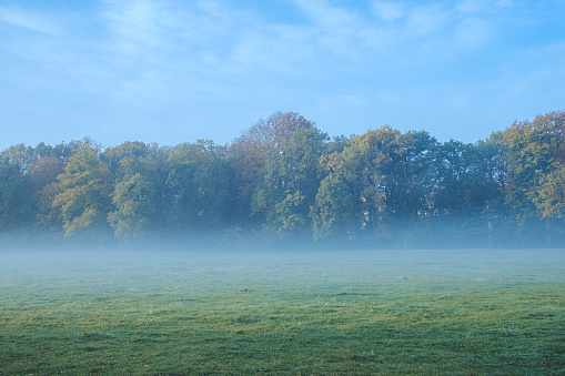 Foggy scene in Treptower park in Berlin