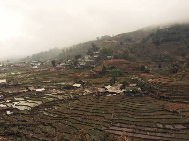 istock Rice Terraces near Sa Pa, Vietnam 1453984146