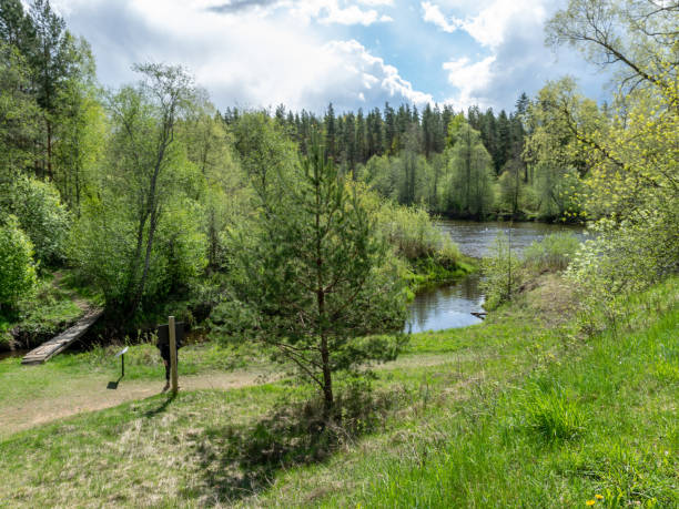 istock spring landscape with a river, the first bright spring greenery on the river bank 1453985769