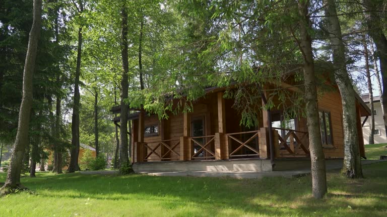 Summer holiday cabin by the lake shore on a summer day