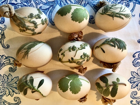 Coloring Easter eggs with onion husks and imprinting various leaves and plants on them.