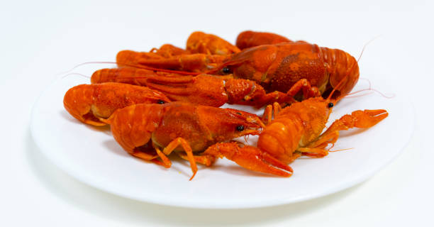 istock Group of boiled river red crayfish are laid out on a plate. 1453992744