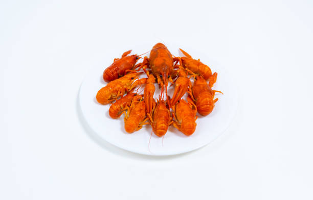 istock Group of boiled river red crayfish are laid out on a plate. 1453992746