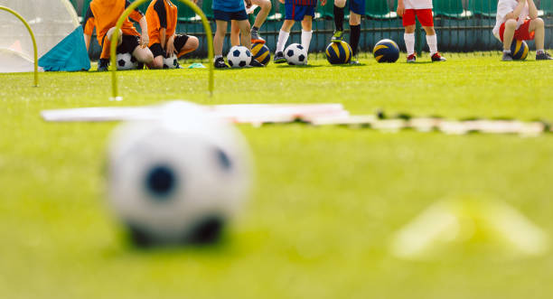 istock Elementary age school kids standing in a row at physical education training session. Happy children play sports on sunny summer day. Sports blurred background 1453993273