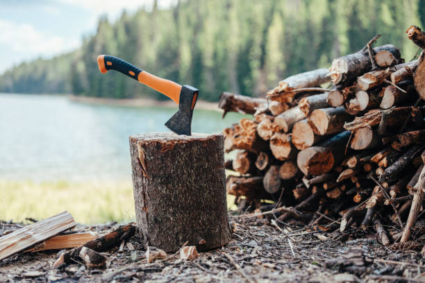 istock Axe in a wood stump. 1453993550