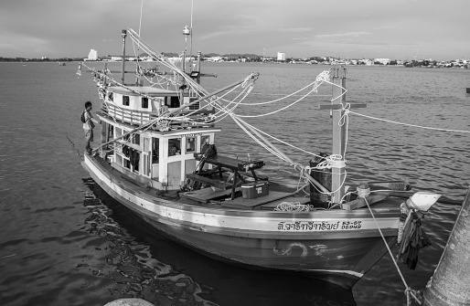 Fishermen at work: fish trachurus just landed at harbor