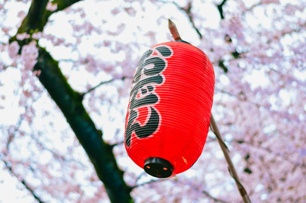 Group of white Japanese paper lamp hanging in a row