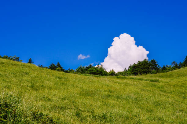 istock Summer cumulonimbus clouds seen on the plateau. 1453996342