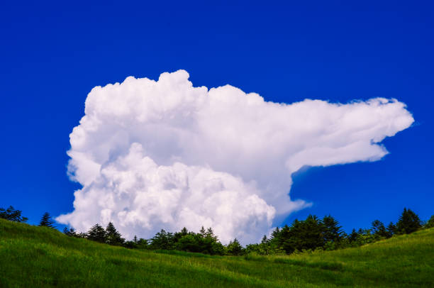 istock Summer cumulonimbus clouds seen on the plateau. 1453996343