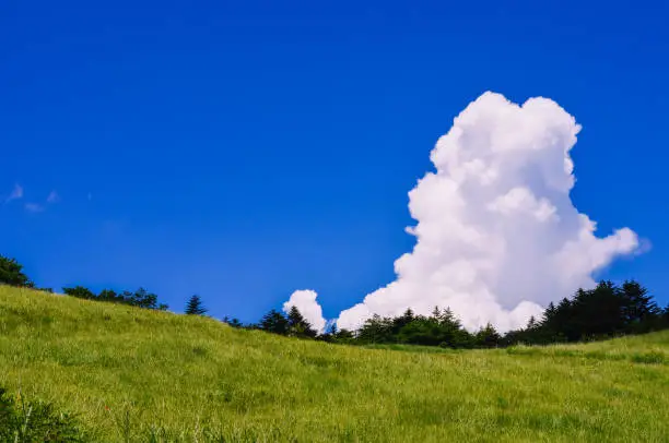 Photo of Summer cumulonimbus clouds seen on the plateau.