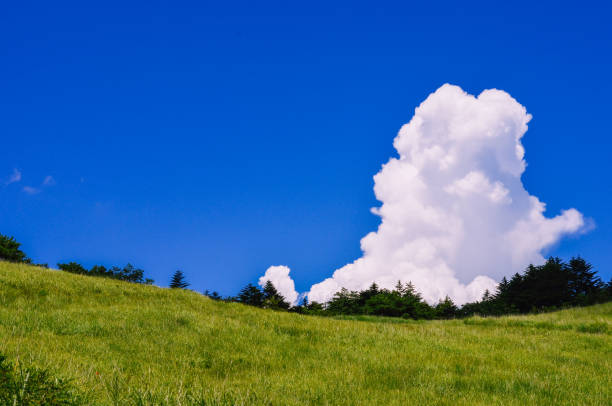 summer cumulonimbus clouds seen on the plateau. - cumulonimbus imagens e fotografias de stock