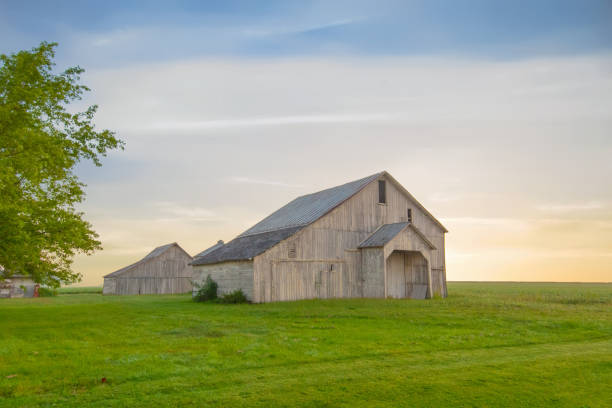 istock Old Weathered Barn-Tipton County, Indiana 1453996353