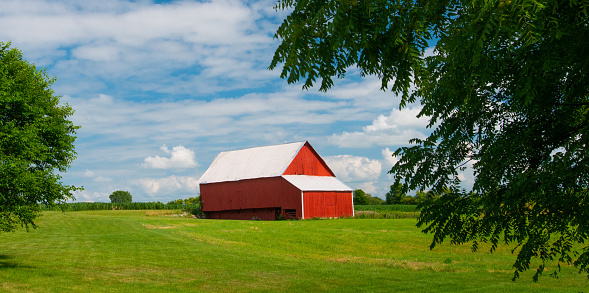 Whitman County, WA, USA - May 29, 2016 : Red barn and wheat field under beautiful sunny day in Washington State.