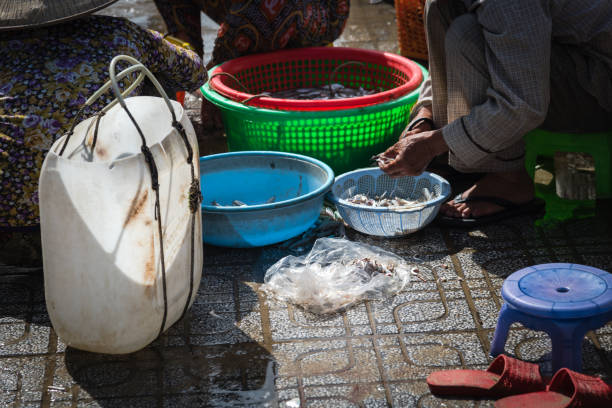 istock Rear view group of sellers processing scaling fishes from large plastic baskets and cans at wet market in Vung Tau, Vietnam 1453999800