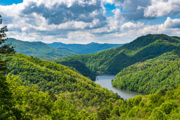 bella vista autunnale con uno stagno nelle great smoky mountains - great smoky mountains foto e immagini stock