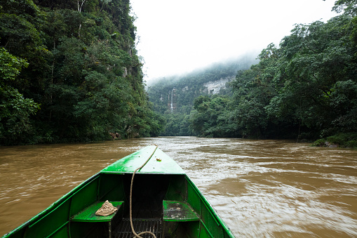 A boat sailing on the flowing Amazon River in the park