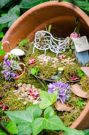 Ceramic Pot Fairy house with Succulents and plants