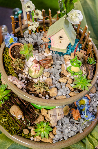 Ceramic Pot Fairy house with Succulents and plants