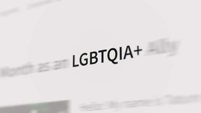 LGBTQIA+ in the article and text
