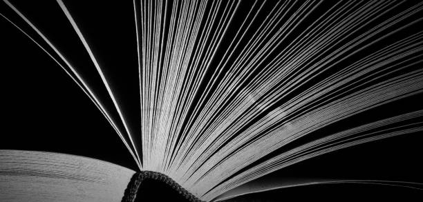 istock Open book close up, black and white, reading, education, knowledge concept. 1454013698