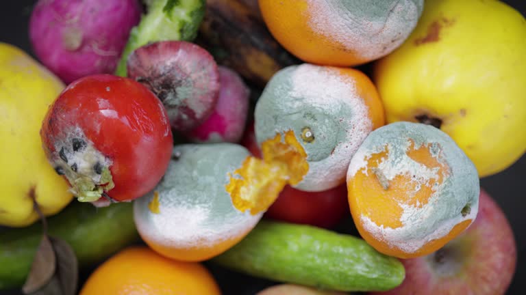 Food waste. Food loss. Food consumption. Composting. Environmental sustainability. Zero waste. Woman squeezing moldy food with her hand.