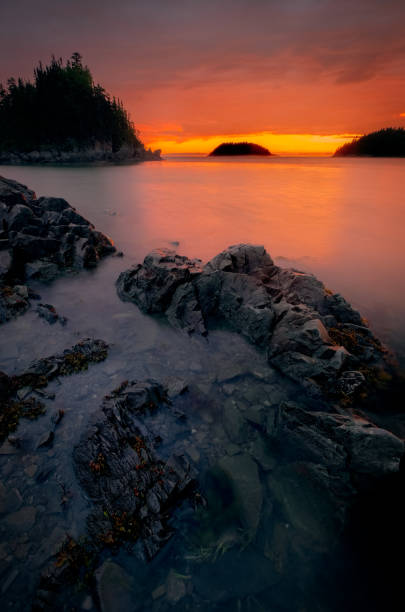 istock Bic National Park, Rimouski, Quebec, Canada 1454014739