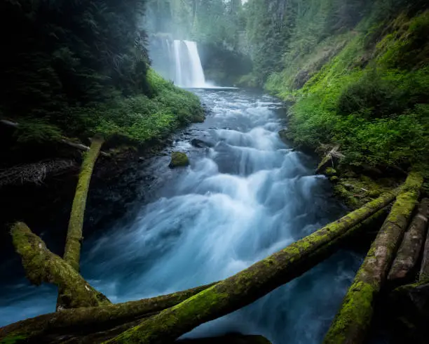 Koosah Falls, Willamette National Forest, Oregon