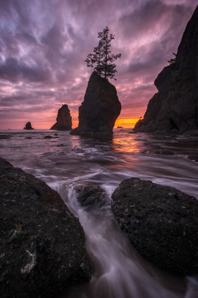 istock Shi-Shi Beach, Olympic National Park, Washington 1454015158