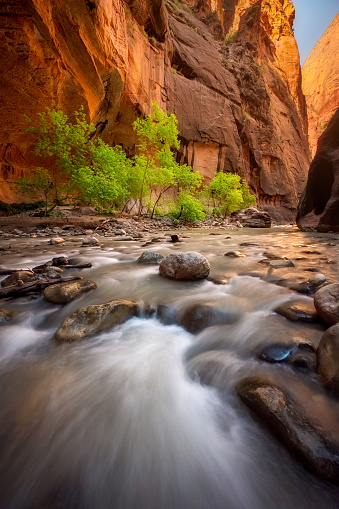 The Narrows, Zion National Park, Utah