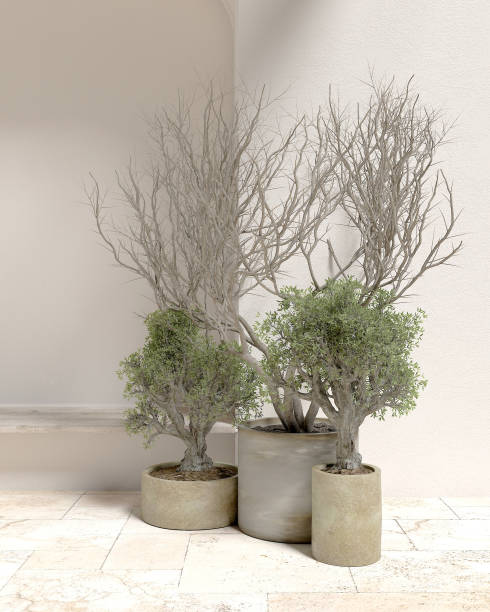 istock Interior walls and plants Mediterranean minimalist interior design ideas. 3d rendering 1454015358