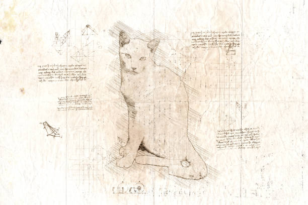 istock da Vinci style sketch of sitting and looking cat. 1454016842