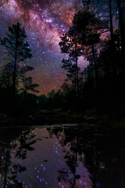 istock Milky way over a river in a night forest in mexiquillo durango 1454018155