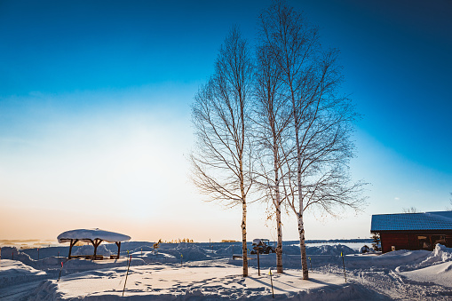Snowy winter landscape in Koli National Park, Finland