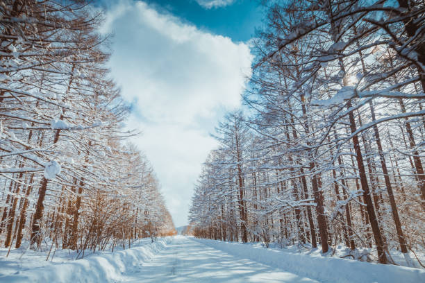Snowy landscape in the suburbs