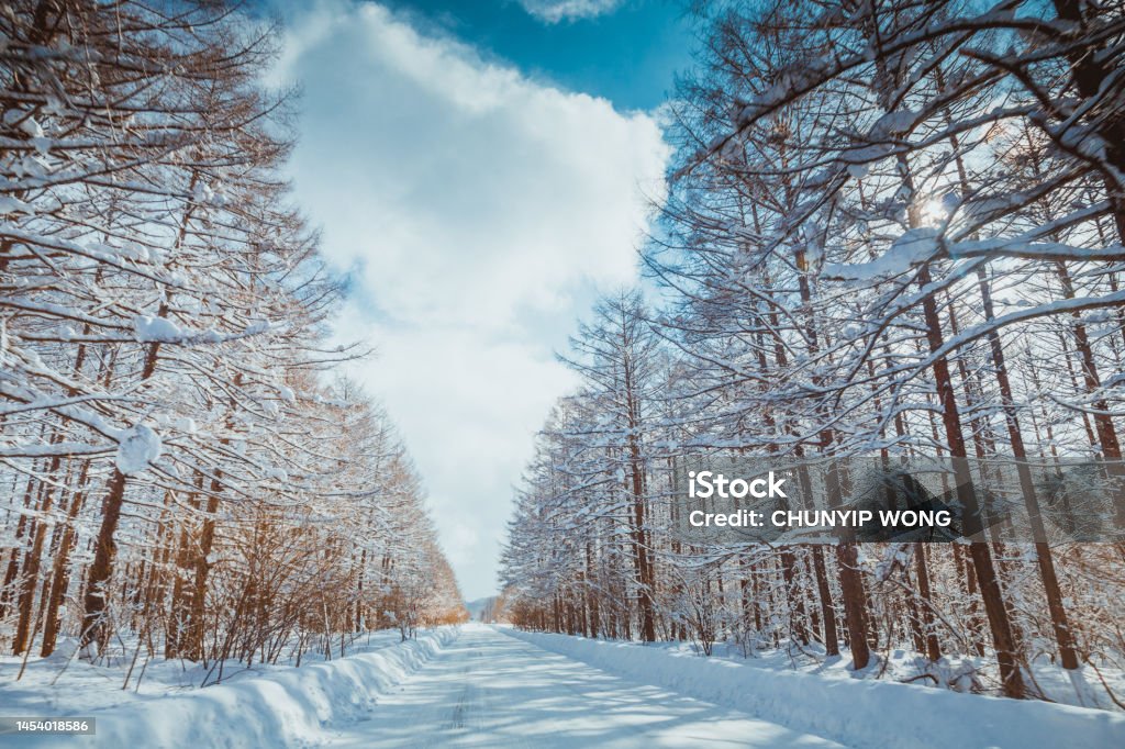 Snowy landscape in the suburbs Agricultural Field Stock Photo