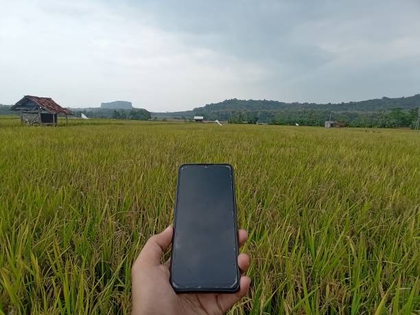 istock Smart Farming and Digital Agricultural Technology 1454020259