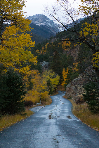 Winding mountain road after a fall rain. in Estes Park, Colorado, United States