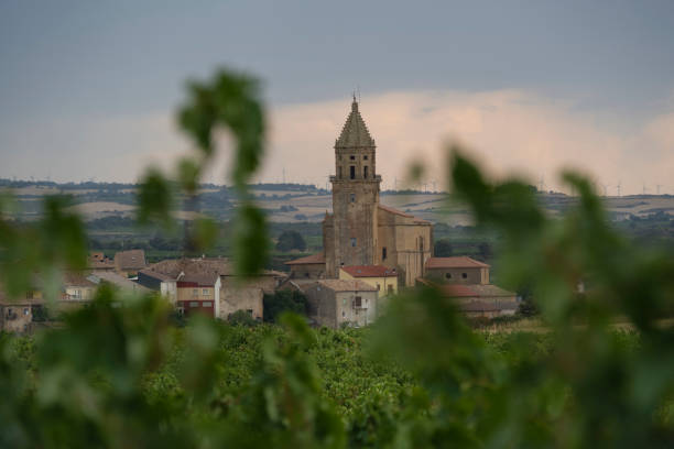 istock Church tower rises over wine vinyards, Bilar, Rioja Alavesa, Spain 1454021945