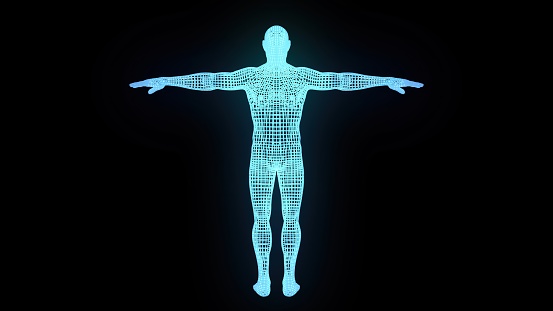 Man body wireframe. Computer generated 3d render