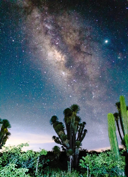 Milky way in the desert, Zimapan Hidalgo
