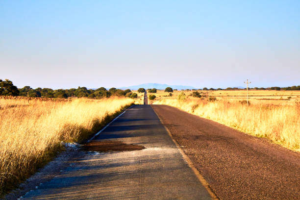 Carretera rural dividida en dos colores, baches en el asfalto, llanuras con hierba amarilla, cielo azul y montañas en el fondo, laguna grande en monte escobedo Zacatecas